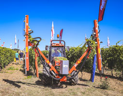 cimatrice per vigneti