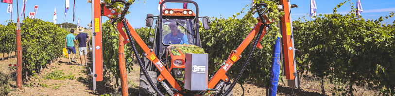 cimatrice per vigneti