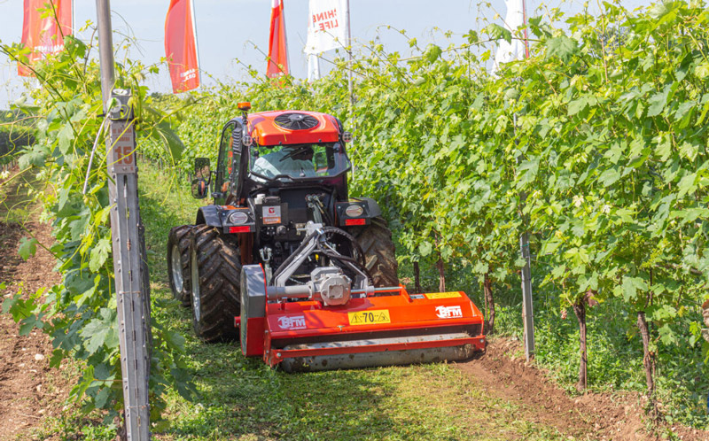 trinciatura-vigneto-trinciasarmenti-bfm-macchine-agricole