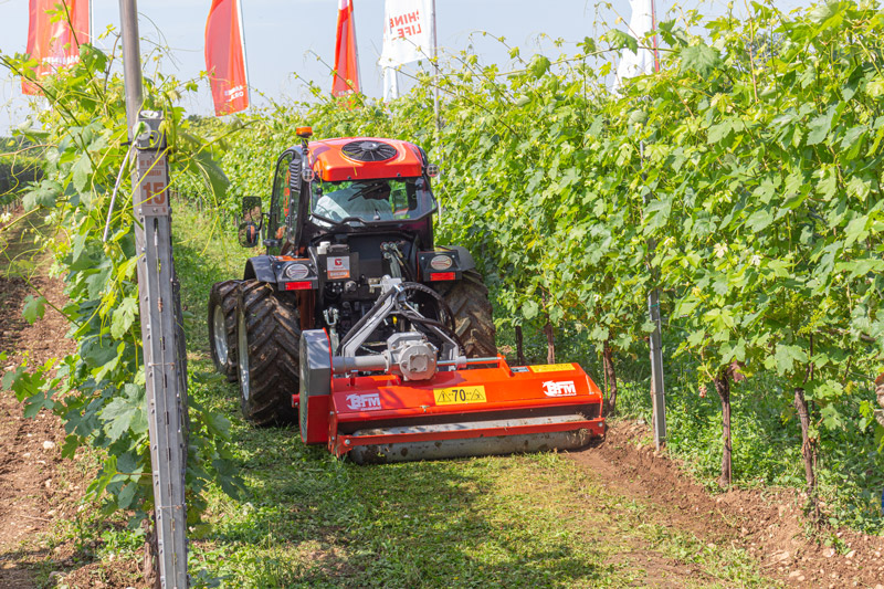 macchinari-agricoli-bfm-enovitis