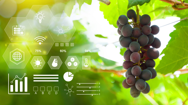 macchinari-agricoli-bfmitaly-agricoltura-sostenibile