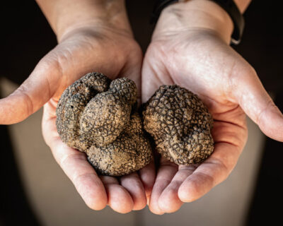macchine-agricole-tartufaie-bfm-italy-mani-con-tartufo-nero