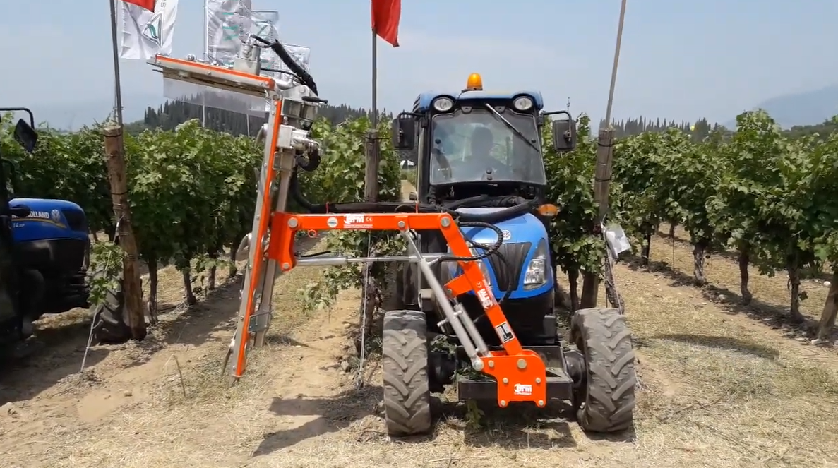 Potatura estiva della vite: cimatura con cimatrice BFM in vigneto