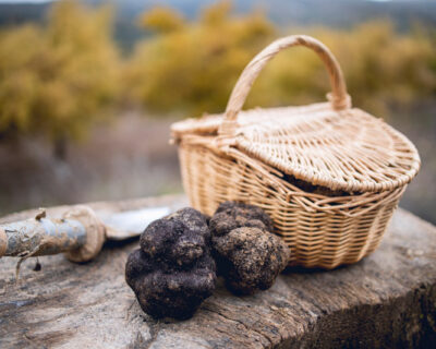 macchine-agricole-tartufaie-bfm-italy-cestino-tartufi
